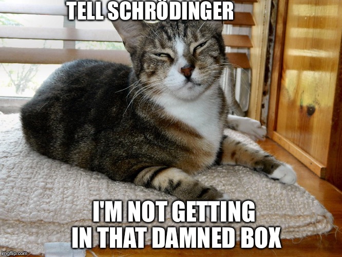 Tell Schrödinger | TELL SCHRÖDINGER I'M NOT GETTING IN THAT DAMNED BOX | image tagged in tell schrdinger | made w/ Imgflip meme maker