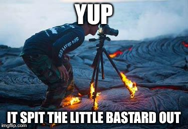 Volcano | YUP IT SPIT THE LITTLE BASTARD OUT | image tagged in volcano | made w/ Imgflip meme maker