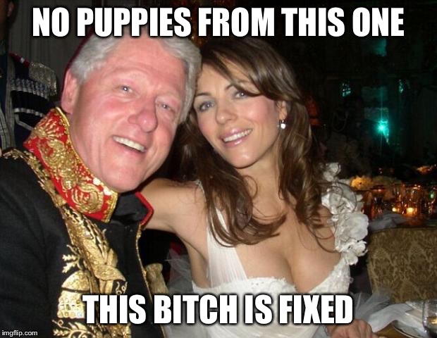 New intern | NO PUPPIES FROM THIS ONE THIS B**CH IS FIXED | image tagged in new intern | made w/ Imgflip meme maker