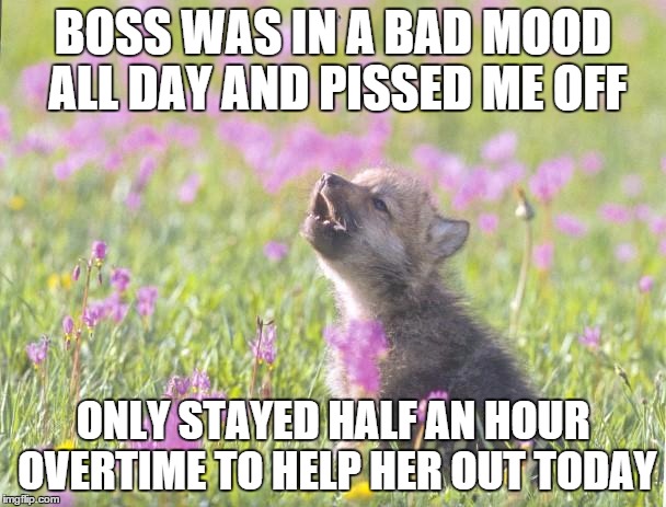 Baby insanity wolf | BOSS WAS IN A BAD MOOD ALL DAY AND PISSED ME OFF ONLY STAYED HALF AN HOUR OVERTIME TO HELP HER OUT TODAY | image tagged in baby insanity wolf | made w/ Imgflip meme maker