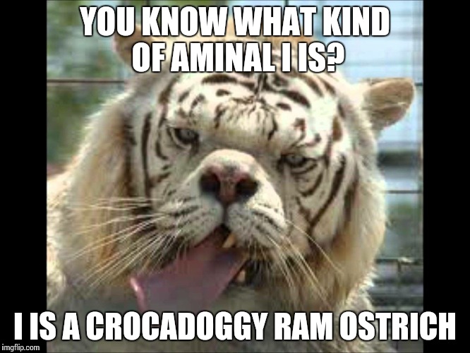 Crocadoggy ram ostrich | YOU KNOW WHAT KIND OF AMINAL I IS? I IS A CROCADOGGY RAM OSTRICH | image tagged in retarded | made w/ Imgflip meme maker