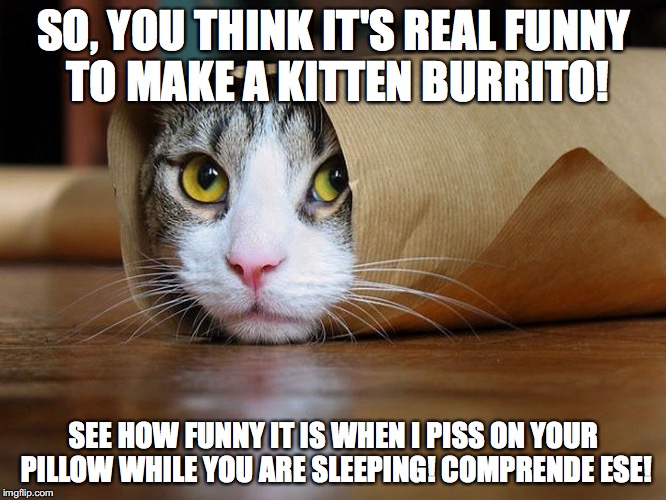 kitten wrap | SO, YOU THINK IT'S REAL FUNNY TO MAKE A KITTEN BURRITO! SEE HOW FUNNY IT IS WHEN I PISS ON YOUR PILLOW WHILE YOU ARE SLEEPING! COMPRENDE ESE | image tagged in kitten wrap | made w/ Imgflip meme maker