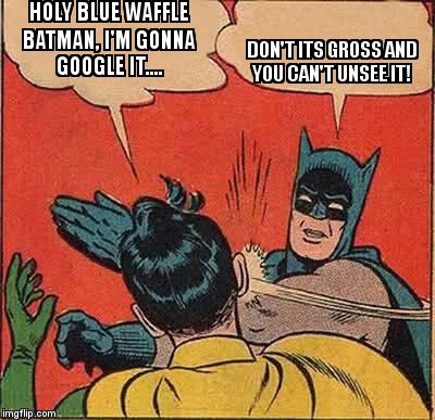 Batman Slapping Robin Meme | HOLY BLUE WAFFLE BATMAN, I'M GONNA GOOGLE IT.... DON'T ITS GROSS AND YOU CAN'T UNSEE IT! | image tagged in memes,batman slapping robin | made w/ Imgflip meme maker