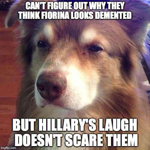 Unsure Dog | CAN'T FIGURE OUT WHY THEY THINK FIORINA LOOKS DEMENTED BUT HILLARY'S LAUGH DOESN'T SCARE THEM | image tagged in unsure dog,animals,politics | made w/ Imgflip meme maker