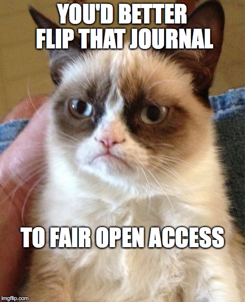 Grumpy Cat | YOU'D BETTER FLIP THAT JOURNAL TO FAIR OPEN ACCESS | image tagged in memes,grumpy cat | made w/ Imgflip meme maker