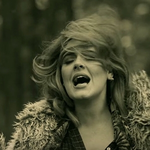 High Quality adele Blank Meme Template