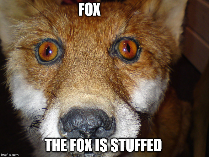 creepy stuffed fox