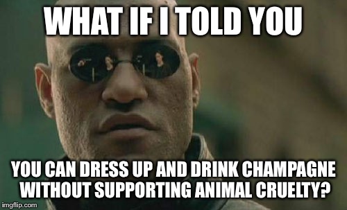 Matrix Morpheus | WHAT IF I TOLD YOU YOU CAN DRESS UP AND DRINK CHAMPAGNE WITHOUT SUPPORTING ANIMAL CRUELTY? | image tagged in memes,matrix morpheus | made w/ Imgflip meme maker