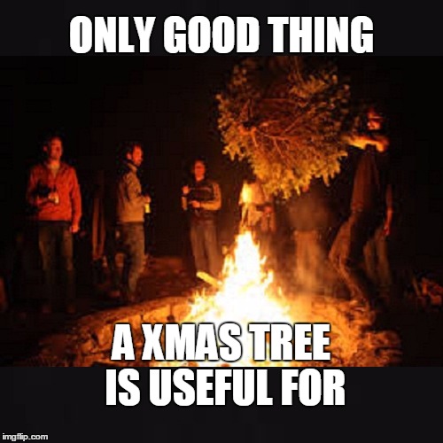 Burning Xmas Tree | ONLY GOOD THING A XMAS TREE IS USEFUL FOR | image tagged in christmas,tree,fire,bah humbug | made w/ Imgflip meme maker