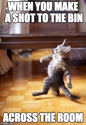 Cool Cat Stroll | WHEN YOU MAKE A SHOT TO THE BIN ACROSS THE ROOM | image tagged in memes,cool cat stroll | made w/ Imgflip meme maker