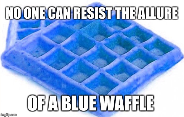 NO ONE CAN RESIST THE ALLURE OF A BLUE WAFFLE | made w/ Imgflip meme maker