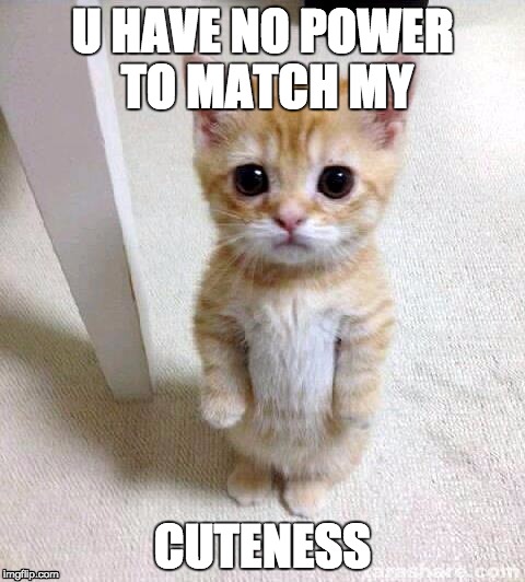 Cute Cat Meme | U HAVE NO POWER TO MATCH MY CUTENESS | image tagged in memes,cute cat | made w/ Imgflip meme maker