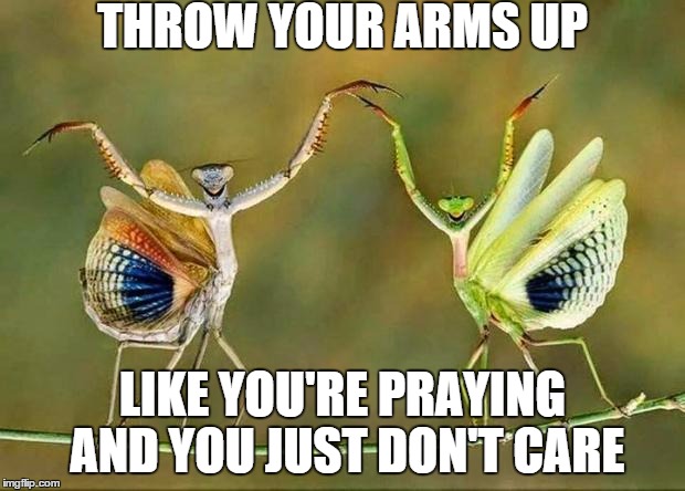 THROW YOUR ARMS UP LIKE YOU'RE PRAYING AND YOU JUST DON'T CARE | made w/ Imgflip meme maker