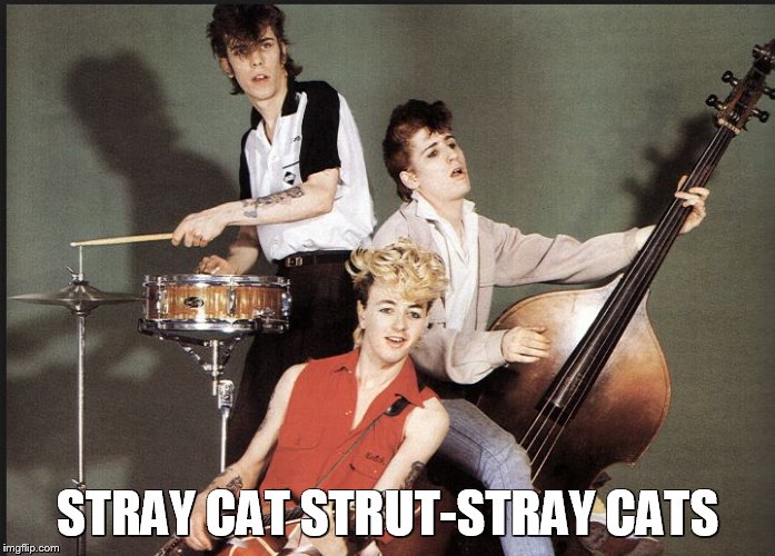 STRAY CAT STRUT-STRAY CATS | image tagged in stray cats | made w/ Imgflip meme maker