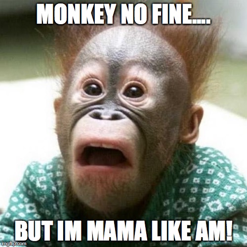 Shocked Monkey | MONKEY NO FINE.... BUT IM MAMA LIKE AM! | image tagged in shocked monkey | made w/ Imgflip meme maker