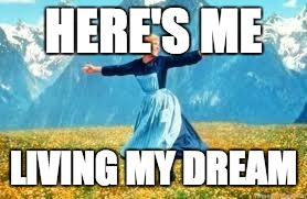 Look At All These | HERE'S ME LIVING MY DREAM | image tagged in memes,look at all these | made w/ Imgflip meme maker