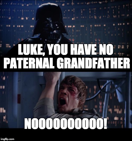 Star Wars No Meme | LUKE, YOU HAVE NO PATERNAL GRANDFATHER NOOOOOOOOOO! | image tagged in memes,star wars no | made w/ Imgflip meme maker