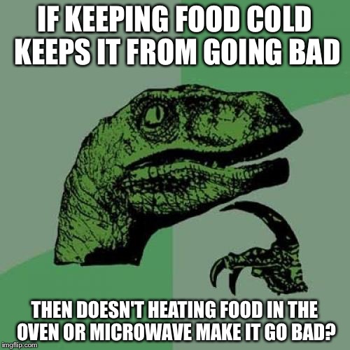 Philosoraptor | IF KEEPING FOOD COLD KEEPS IT FROM GOING BAD THEN DOESN'T HEATING FOOD IN THE OVEN OR MICROWAVE MAKE IT GO BAD? | image tagged in memes,philosoraptor | made w/ Imgflip meme maker