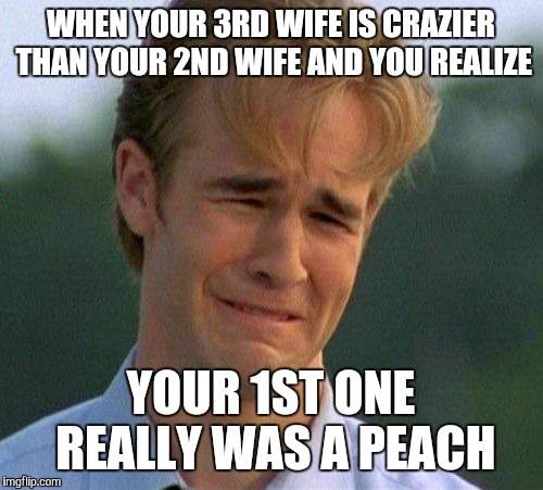 1990s First World Problems | WHEN YOUR 3RD WIFE IS CRAZIER THAN YOUR 2ND WIFE AND YOU REALIZE YOUR 1ST ONE REALLY WAS A PEACH | image tagged in memes,1990s first world problems | made w/ Imgflip meme maker