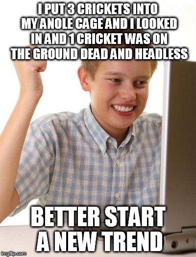 First Day On The Internet Kid Meme | I PUT 3 CRICKETS INTO MY ANOLE CAGE AND I LOOKED IN AND 1 CRICKET WAS ON THE GROUND DEAD AND HEADLESS BETTER START A NEW TREND | image tagged in memes,first day on the internet kid,headless cricket | made w/ Imgflip meme maker