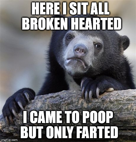 Confession Bear Meme | HERE I SIT ALL BROKEN HEARTED I CAME TO POOP BUT ONLY FARTED | image tagged in memes,confession bear | made w/ Imgflip meme maker
