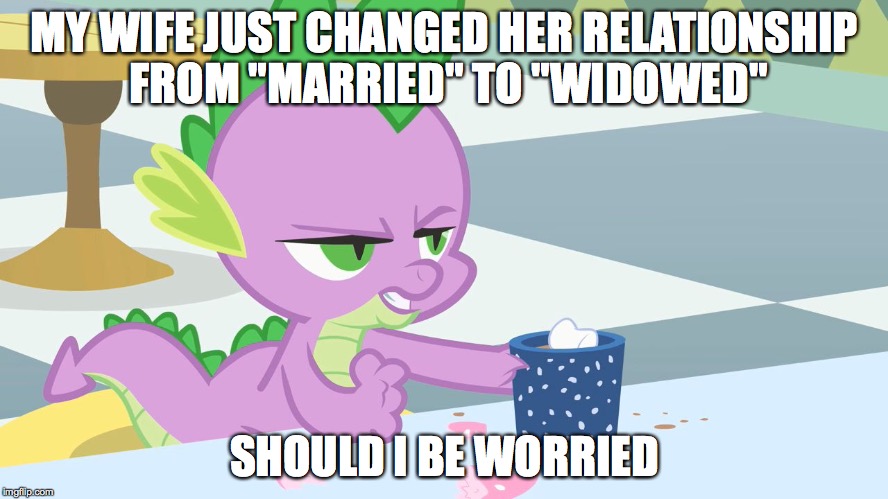 spike's coffee | MY WIFE JUST CHANGED HER RELATIONSHIP FROM "MARRIED" TO "WIDOWED" SHOULD I BE WORRIED | image tagged in spike's coffee | made w/ Imgflip meme maker