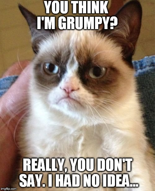 When the sass comes out  | YOU THINK I'M GRUMPY? REALLY, YOU DON'T SAY. I HAD NO IDEA... | image tagged in memes,grumpy cat | made w/ Imgflip meme maker