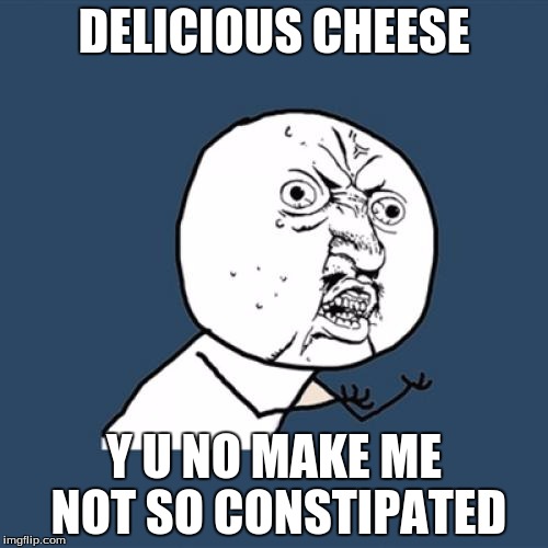 Y U No | DELICIOUS CHEESE Y U NO MAKE ME NOT SO CONSTIPATED | image tagged in memes,y u no | made w/ Imgflip meme maker