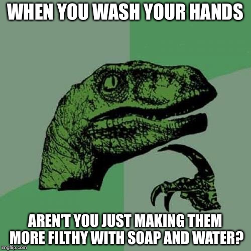 Philosoraptor Meme | WHEN YOU WASH YOUR HANDS AREN'T YOU JUST MAKING THEM MORE FILTHY WITH SOAP AND WATER? | image tagged in memes,philosoraptor | made w/ Imgflip meme maker