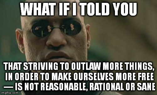 Matrix Morpheus Meme | WHAT IF I TOLD YOU THAT STRIVING TO OUTLAW MORE THINGS, IN ORDER TO MAKE OURSELVES MORE FREE — IS NOT REASONABLE, RATIONAL OR SANE | image tagged in memes,matrix morpheus | made w/ Imgflip meme maker