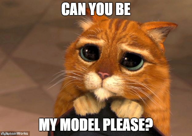 CAN YOU BE MY MODEL PLEASE? | image tagged in cat,sad,model,photographer,puss in boots | made w/ Imgflip meme maker