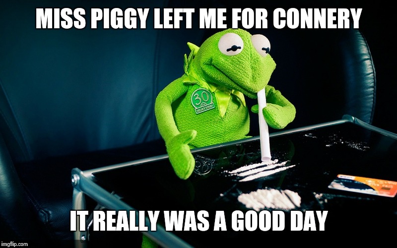 Kermit | MISS PIGGY LEFT ME FOR CONNERY IT REALLY WAS A GOOD DAY | image tagged in kermit | made w/ Imgflip meme maker