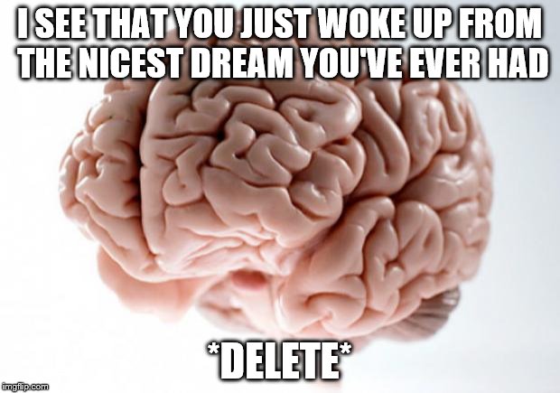 Scumbag Brain | I SEE THAT YOU JUST WOKE UP FROM THE NICEST DREAM YOU'VE EVER HAD *DELETE* | image tagged in scumbag brain | made w/ Imgflip meme maker