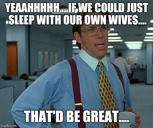 That Would Be Great | YEAAHHHHH....IF WE COULD JUST SLEEP WITH OUR OWN WIVES.... THAT'D BE GREAT.... | image tagged in memes,that would be great | made w/ Imgflip meme maker