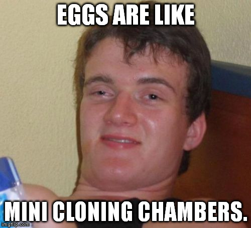 10 Guy Meme | EGGS ARE LIKE MINI CLONING CHAMBERS. | image tagged in memes,10 guy | made w/ Imgflip meme maker
