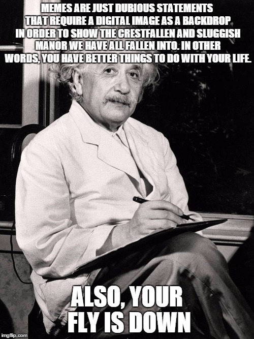 Einstein Worldview | MEMES ARE JUST DUBIOUS STATEMENTS THAT REQUIRE A DIGITAL IMAGE AS A BACKDROP IN ORDER TO SHOW THE CRESTFALLEN AND SLUGGISH MANOR WE HAVE ALL | image tagged in albert einstein | made w/ Imgflip meme maker