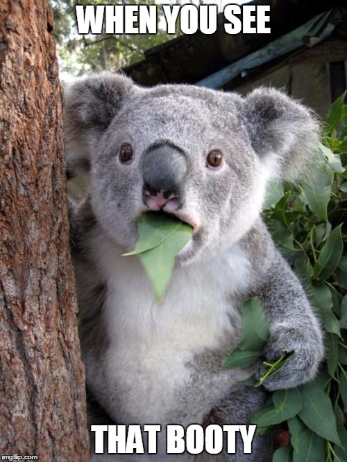 Surprised Koala | WHEN YOU SEE THAT BOOTY | image tagged in memes,surprised koala | made w/ Imgflip meme maker