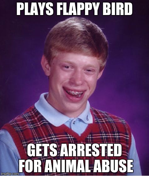 Bad Luck Brian | PLAYS FLAPPY BIRD GETS ARRESTED FOR ANIMAL ABUSE | image tagged in memes,bad luck brian | made w/ Imgflip meme maker