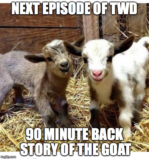 happy goats | NEXT EPISODE OF TWD 90 MINUTE BACK STORY OF THE GOAT | image tagged in happy goats | made w/ Imgflip meme maker