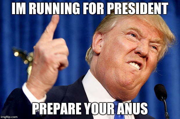 Donald Trump | IM RUNNING FOR PRESIDENT PREPARE YOUR ANUS | image tagged in donald trump | made w/ Imgflip meme maker