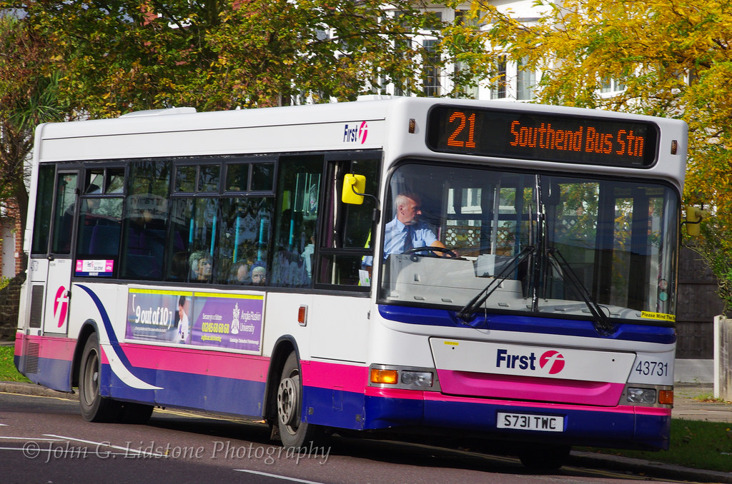 High Quality mad about buses Blank Meme Template