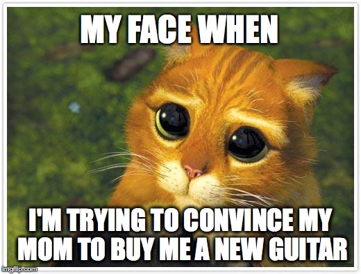 Shrek Cat Meme | MY FACE WHEN I'M TRYING TO CONVINCE MY MOM TO BUY ME A NEW GUITAR | image tagged in memes,shrek cat | made w/ Imgflip meme maker