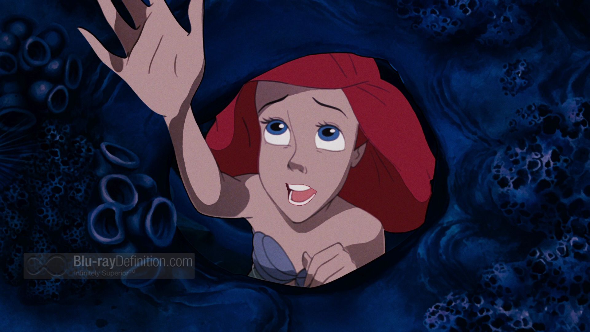 Ariel Singing 2 Blank Meme Template