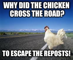 Why the chicken Cross the road | WHY DID THE CHICKEN CROSS THE ROAD? TO ESCAPE THE REPOSTS! | image tagged in why the chicken cross the road | made w/ Imgflip meme maker