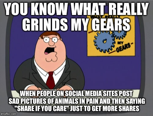 Peter Griffin News | YOU KNOW WHAT REALLY GRINDS MY GEARS WHEN PEOPLE ON SOCIAL MEDIA SITES POST SAD PICTURES OF ANIMALS IN PAIN AND THEN SAYING "SHARE IF YOU CA | image tagged in memes,peter griffin news | made w/ Imgflip meme maker