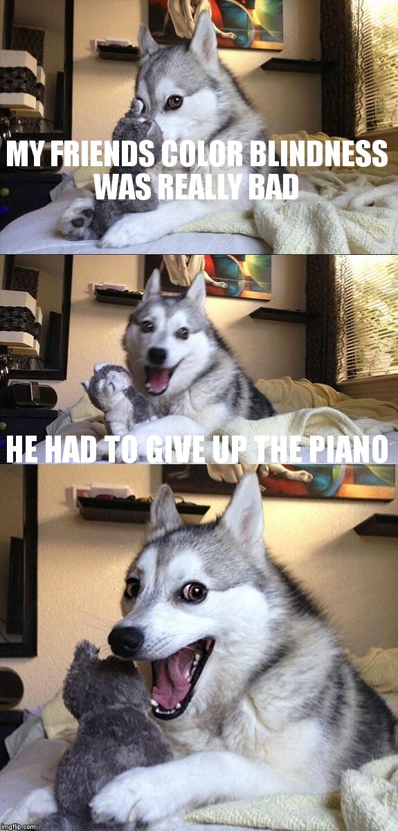 Bad Pun Dog Meme | MY FRIENDS COLOR BLINDNESS WAS REALLY BAD HE HAD TO GIVE UP THE PIANO | image tagged in memes,bad pun dog | made w/ Imgflip meme maker