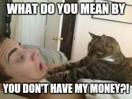 Cat Strangler | WHAT DO YOU MEAN BY YOU DON'T HAVE MY MONEY?! | image tagged in cat strangler | made w/ Imgflip meme maker