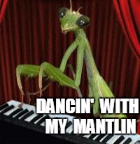 DANCIN'  WITH  MY  MANTLIN | image tagged in mantis piano | made w/ Imgflip meme maker