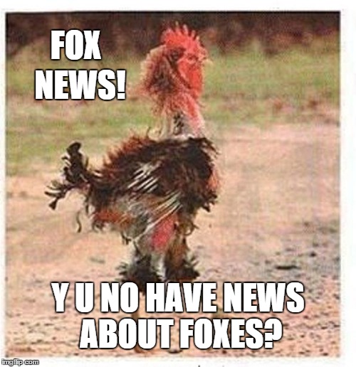 They had one job to do | FOX Y U NO HAVE NEWS ABOUT FOXES? NEWS! | image tagged in mangled chicken,fox news,y u no | made w/ Imgflip meme maker