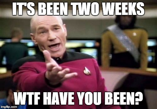Picard Wtf Meme | IT'S BEEN TWO WEEKS WTF HAVE YOU BEEN? | image tagged in memes,picard wtf | made w/ Imgflip meme maker